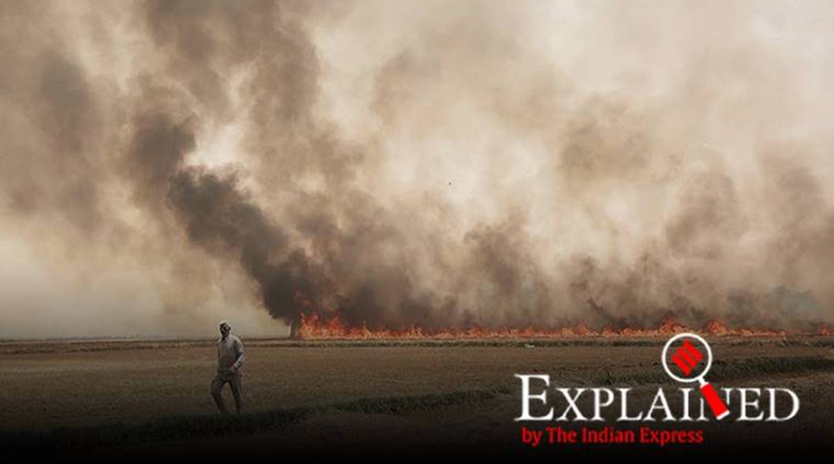 stubble burning, punjab stubble burning, pollution levels stubble burning, punjab govt farmers stubble burning fines