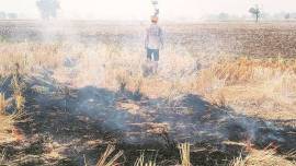 Punjab stubble burning, delhi air pollution, farm fires in Punjab, supreme court on stubble burning, indian express explained