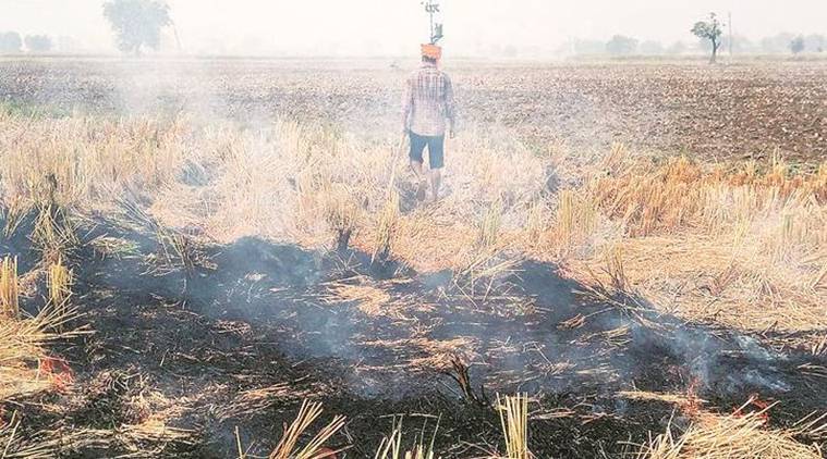 Punjab stubble burning, delhi air pollution, farm fires in Punjab, supreme court on stubble burning, indian express