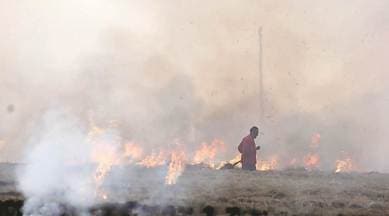 Rs 2 crore fine, Rs 4.15 lakh recovered: PPCB data on Punjab farm fires
