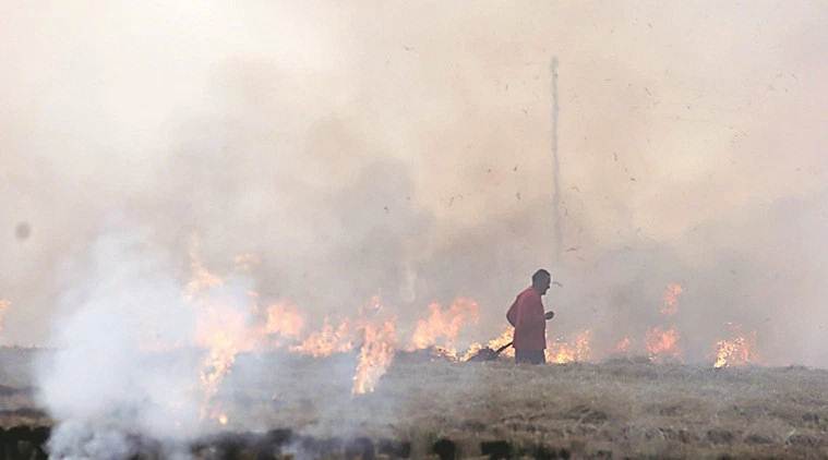 In Haryana, Rs 1,000 reward for information on farm fires