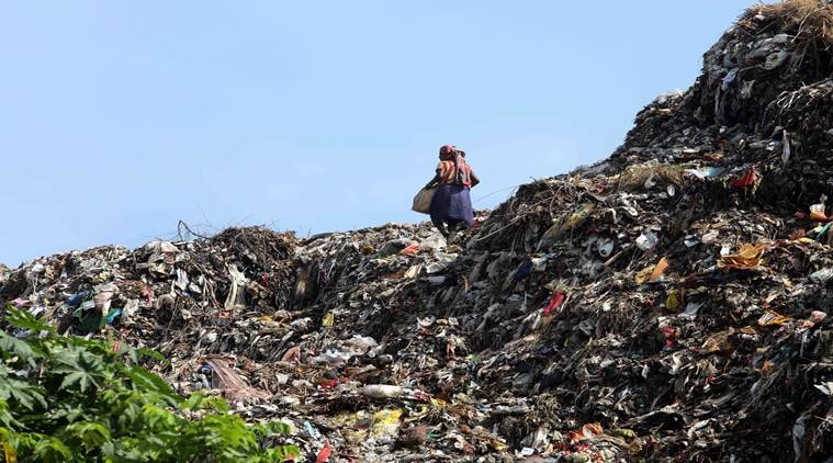 waste pickers, noida waste pickers, waste pickers covid 19, delhi coronavirus news, delhi covid updates, delhi news, indian express