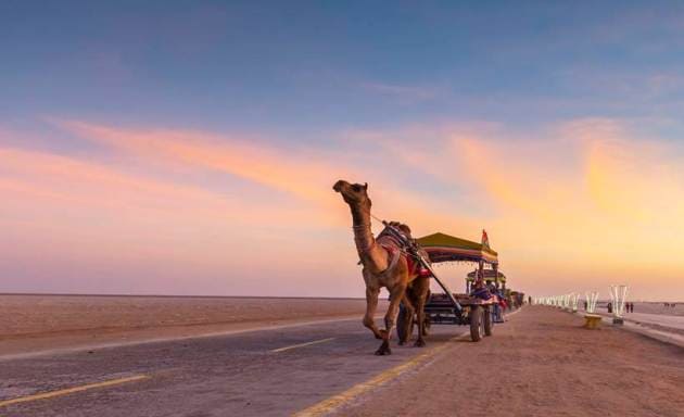 Rann of Kutch, Kutch, Gujarat, winter travel, winter getaway, Express Wanderlust, Indian Express, Indian Express news