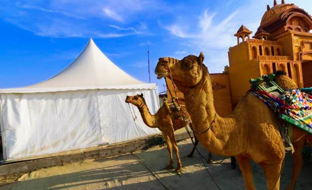 Rann of Kutch, Kutch, Gujarat, winter travel, winter getaway, Express Wanderlust, Indian Express, Indian Express news