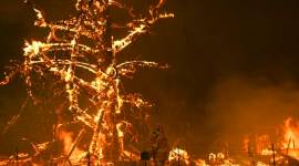 Australia bushfires. australia fires, australia wildfires, auastralia forest fires, australia fires impact, asutralia fire, NASA on australia fire