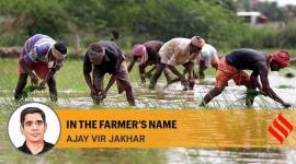 Farmer unions need to expand the scope of their advocacy