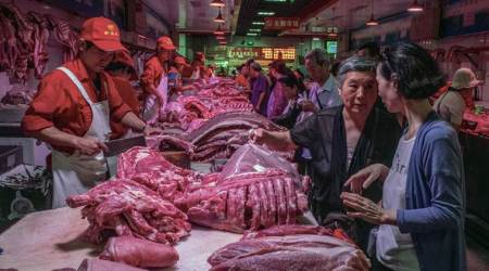 China responds slowly, and a pig disease becomes a lethal epidemic