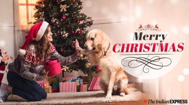 pictures of merry christmas and happy new year