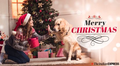 Merry Christmas and Happy Holidays! Mom and Daughter and Dog Have