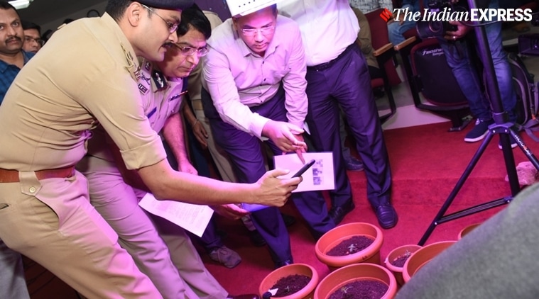 Bengaluru police bust international drug racket, 3 arrested for growing ...