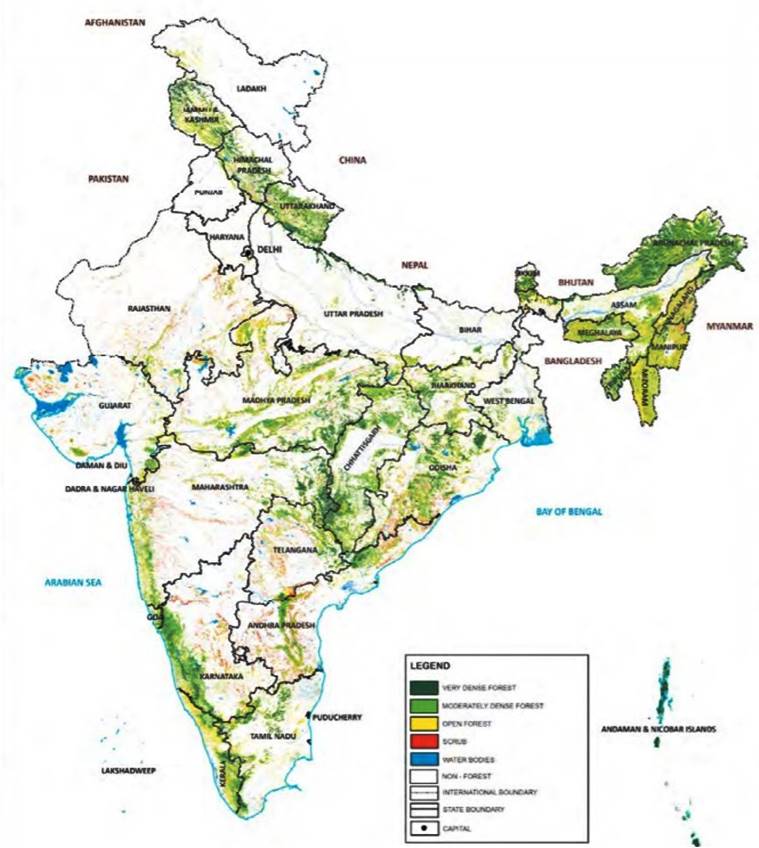 In Maharashtra, area under dense forest declines, improvement in tree ...