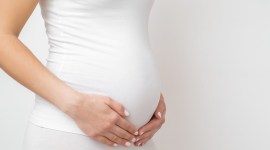 IVF, In vitro fertilisation, indianexpress.com, indianexpress, british lesbian couple, UK Lesbian couple, Otis, Donna Smith, Jasmine Smith, shared motherhood procedure, lesbian couple children, IVF advanced, London's Women Clinic,