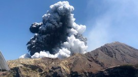 New Zealand volcano, New Zealand volcanic eruption, New Zealand, New Zealand volcano eruption, World news, Indian Express