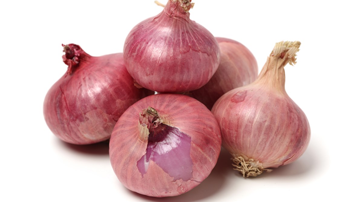Punjab Agricultural University develops low-cost technologies to prepare onion products