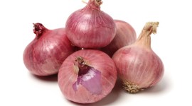 Punjab Agricultural University develops low-cost technologies to prepare onion products