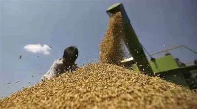 Food Corporation of India (FCI) chairperson and managing director Ashok KK Meena has written to Chief Secretary Vijay Kumar Janjua urging him to get the matter resolved as it may cast shadow on PDS distribution in the country. (File/Representational)