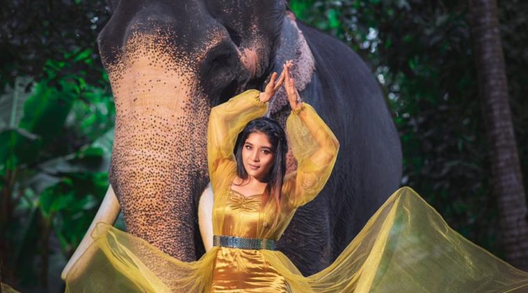 A date with an elephant