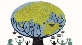 study abroad, how to plan study aborad, best country to study, what to study after 12, study visa us, study visa Australia, education news