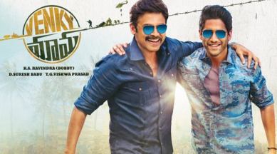 venky mama venkatesh naga chaitanya box office