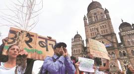 aarey aarey car shed, aarey metro project, Aarey forest, Aarey Milk Colony, Mumbai forest, Uddhav Thackeray, Forest in Mumbai, Mumbai news