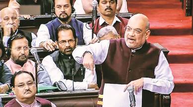 hyderabad rape murder case, amit shah, amit shah on rape laws, ipc rape laws, crpc laws, nirbhaya gangrape