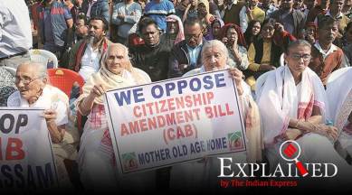 Explained: What is the UN body that has criticised India for new citizenship Act?