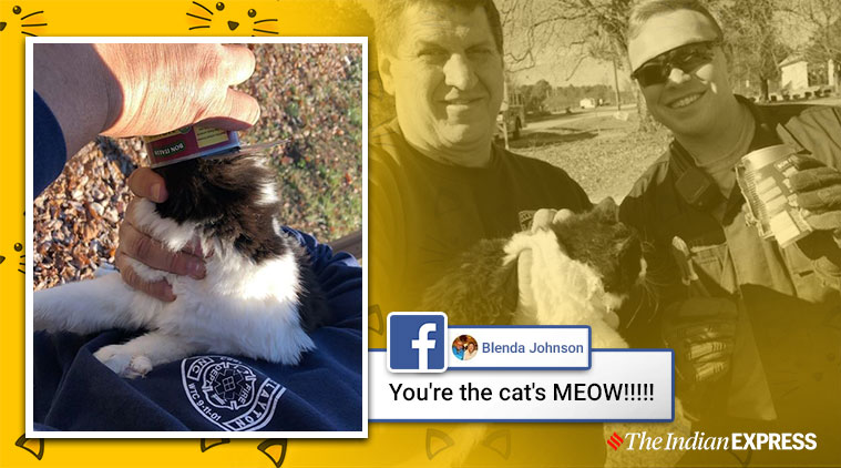 Cat's head stuck in tin can, Cat rescue, North California, Trending, Indian Express news