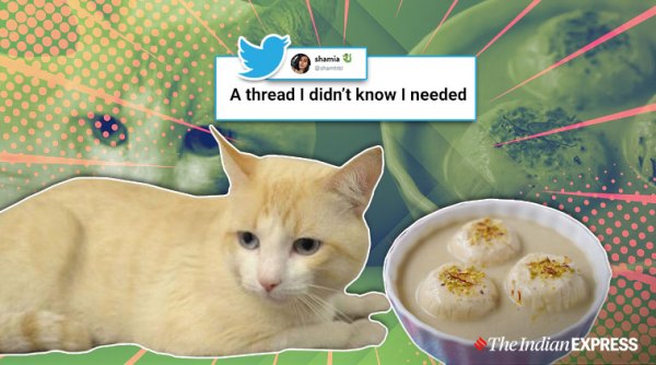 desi mithai, cats as mithai, cat names suggestion, indian desserts viral thread, twitter viral thread, indian express,