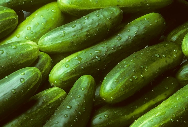 cucumbers