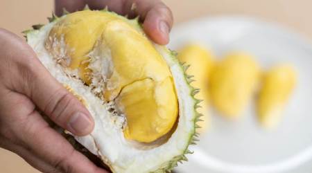 durian, durian fruit, health benefits, smell, use, indian express, indian express news