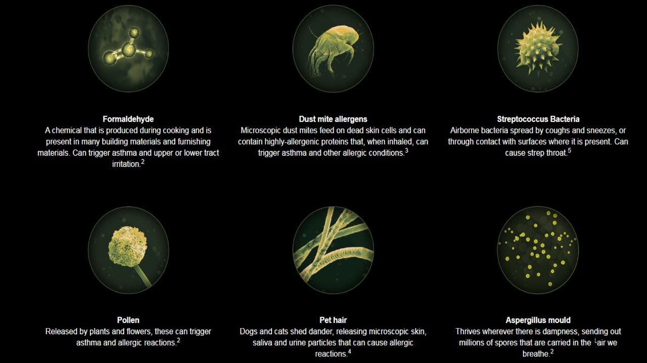 airpurifiers in delhi