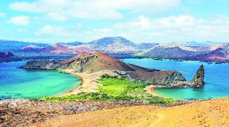 Kailaasa, Kailaasa whatsapp uncle, Kailaasa in india, Kailaasa location, whatsapp uncle sunday eye, indian express, indian express news