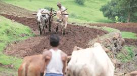 PM Kisan Yojana, Pradhan Mantri Kisan Samman Nidhi Yojana, PM Kisan Yojana scheme, scheme for farmers, government scheme for farmers, Indian Express