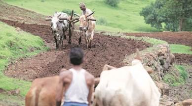 PM Kisan Yojana, Pradhan Mantri Kisan Samman Nidhi Yojana, PM Kisan Yojana scheme, scheme for farmers, government scheme for farmers, Indian Express