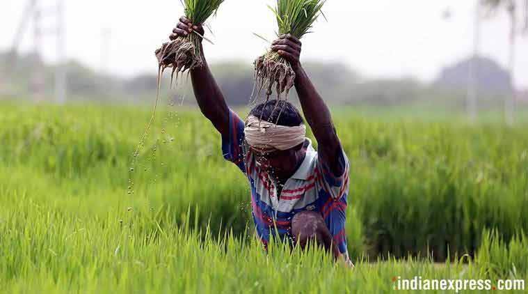 Gujarat news, gujarat farmers, Gujarat farmer suicide, Gujarat assembly
