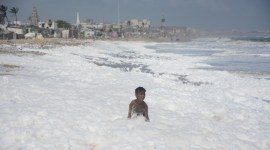 Chennai, Chennai Beach, Chennai rains, Tamil Nadu rains, Froth foam, Marina foam, Marina beach, Foam marina, Indian Express News, Chennai news,
