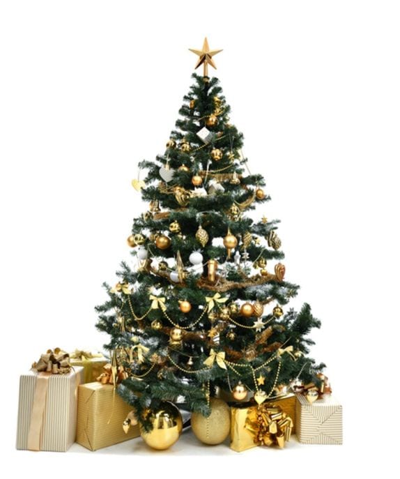 : christmas 2019, christmas, christmas tree, christmas tree images, christmas tree ideas, christmas tree drawing, christmas tree decoration, christmas tree decoration ideas, christmas tree decoration items, christmas tree decoration images, christmas tree decoration material, christmas tree decoration photos, christmas tree decoration paper, christmas tree decoration drawing, christmas tree decoration ideas 2019