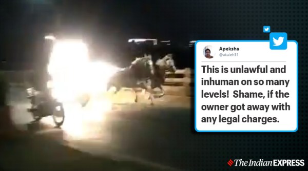 Horse carriage out of control, Out-of-control horse-drawn carriage on Pune road, Pune, Trending, Indian Express news