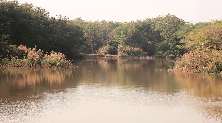 Sukhna Lake, catchment areas in Sukhna Lake, chandigarh city news, punjab and haryana high court