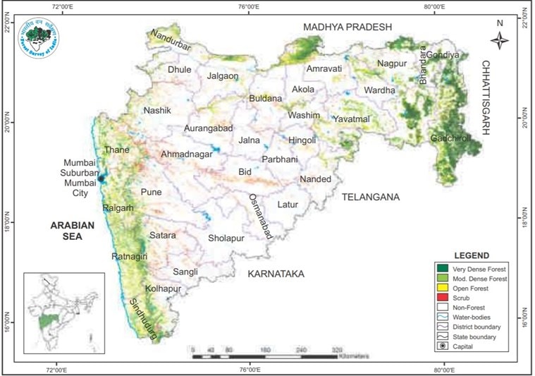 In Maharashtra, area under dense forest declines, improvement in tree ...