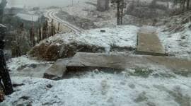 Nagaland snow, snow in Nagaland, Nagaland snowfall, snowfall in Nagaland, Nagaland weather, IMD, India Meteorological Department, Northeast news, Indian Express