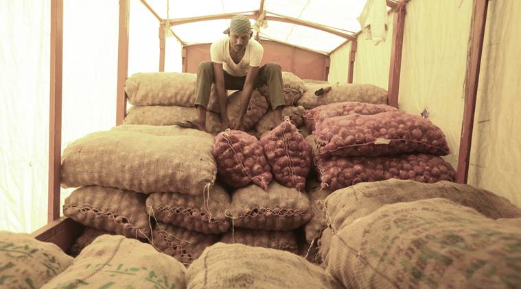 Maharashtra: Onion wholesale prices fall, but hoteliers still using onions sparingly