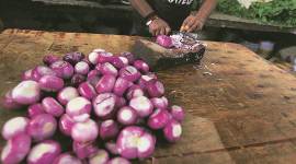 onion price, onion price in the country, onion price in india, indian express news, delhi news, price of onion