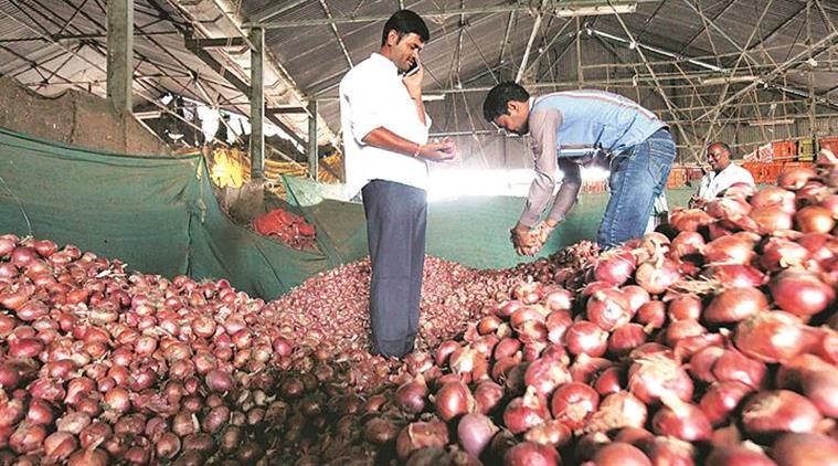 After record high of Rs 100 per kg, onion prices cool down across Maharashtra