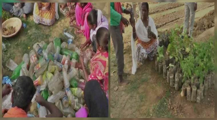 Chhattisgarh forest department reuse plastic to grow plants and saplings, eco-friendly initiative, Chhattisgarh forest department eco friendly initiative, Trending, Indian Express news