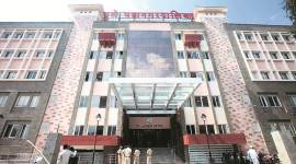 pune news, pune municipal corporation, dog menace, pmc funds, indian express