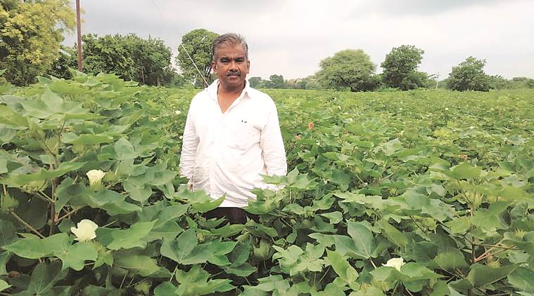 Pune farmers, Integrated pest management, crop protection, Pune pest management, Pune pest control, Pune news