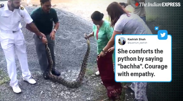 snake rescue, python, pythone rescue, kerala snake rescue, woman rescues python, kochi woman rescue python, viral videos, indian express, kerala news