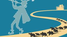 pune insects menace, pune rat menace, pune municipal corporation, pune city news