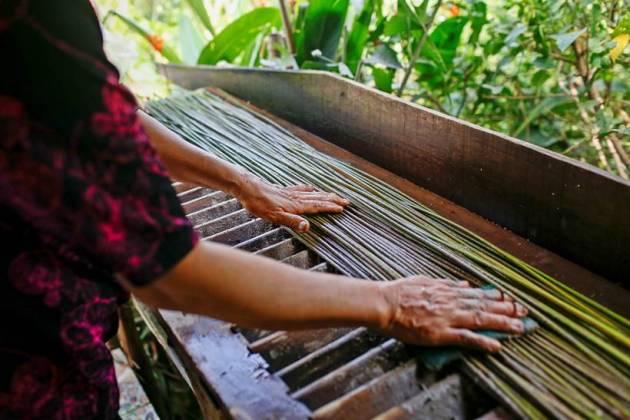 Vietnamese entrepreneur Tran Minh Tien, 3T, grass straw, wild grey sedge grass, lastic straw, environmentally friendly way, eco-friendly products, vietnam news, indian express